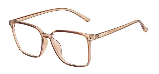 Sani Classic Glasses  Frame
